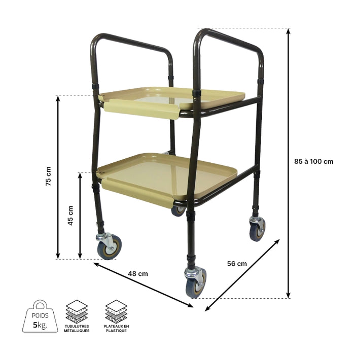 Carrinho com Tabuleiro e Rodas