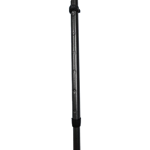Pair of Canadianas - ERGO TECH