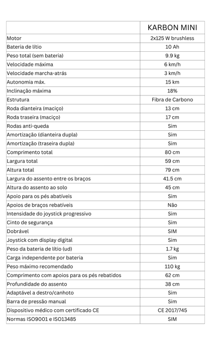 Electric and Folding Wheelchair - ELBA