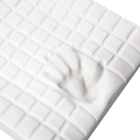 Anatomical Viscoelastic Pillow