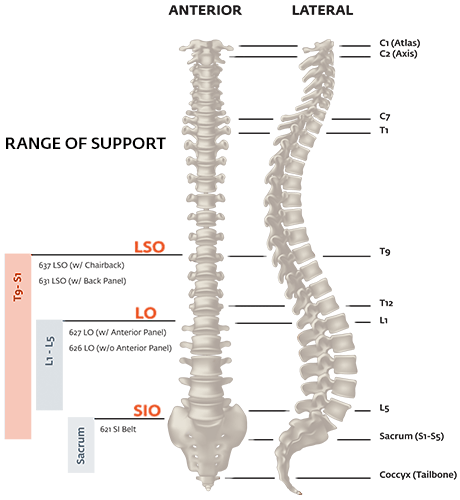 Ortótese Tóraco-Lombo-Sacral (TLSO) - Exos® FORM™ II 637