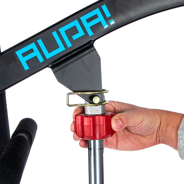 Elevador de Transferência Elétrico AÚPA MINI